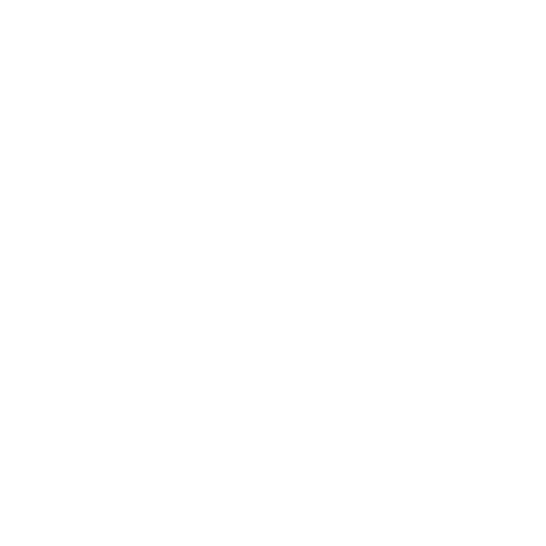 icon-w-6